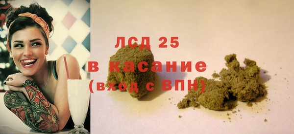 ешки Новодвинск