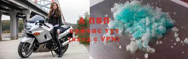 ешки Новодвинск