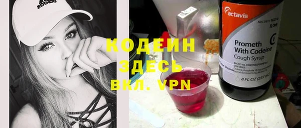 мдпв Новозыбков