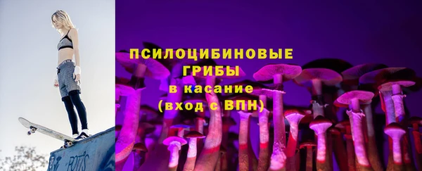 ешки Новодвинск