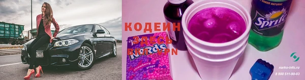 мдпв Новозыбков