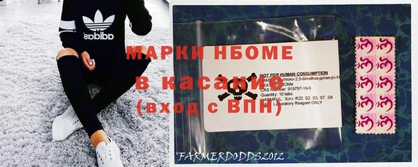 ешки Новодвинск