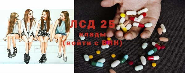 мдпв Новозыбков