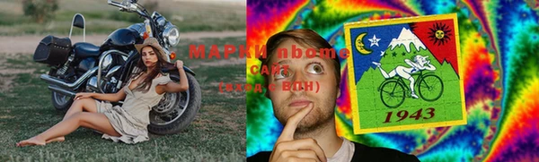 ешки Новодвинск