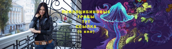 спиды Нея