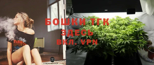 прущие крисы Новокубанск