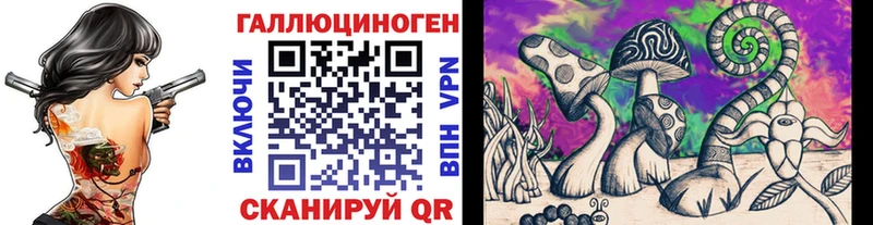 где найти   блэк спрут рабочий сайт  Псилоцибиновые грибы Cubensis  Киренск 